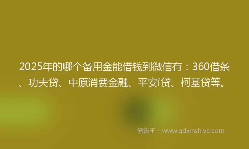 2025年的哪个备用金能借钱到微信有：360借条、功夫贷、中原消费金融、平安i贷、柯基贷等。
