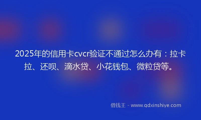 2025年的信用卡cvcr验证不通过怎么办有：拉卡拉、还呗、滴水贷、小花钱包、微粒贷等。