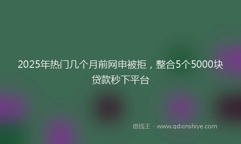 2025年热门几个月前网申被拒，整合5个5000块贷款秒下平台