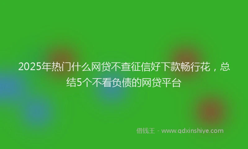 2025年热门什么网贷不查征信好下款畅行花，总结5个不看负债的网贷平台