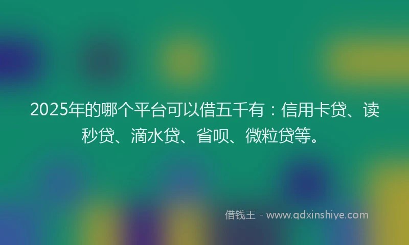 2025年的哪个平台可以借五千有：信用卡贷、读秒贷、滴水贷、省呗、微粒贷等。