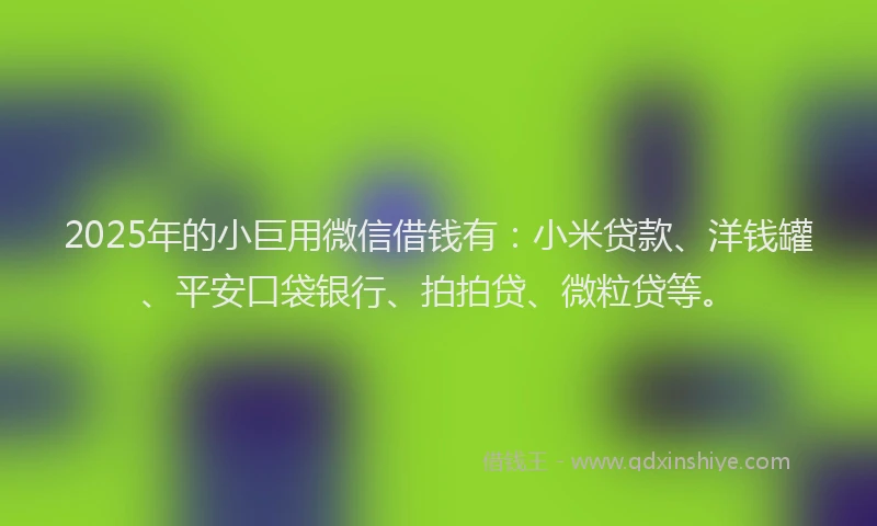 2025年的小巨用微信借钱有：小米贷款、洋钱罐、平安口袋银行、拍拍贷、微粒贷等。