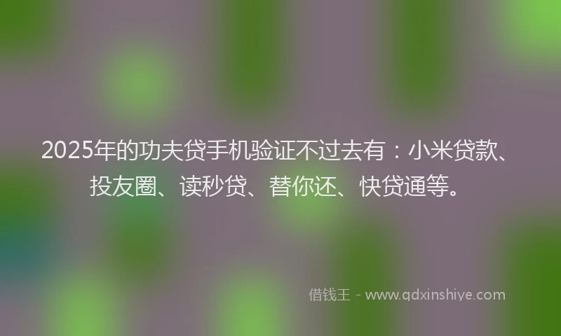 2025年的功夫贷手机验证不过去有：小米贷款、投友圈、读秒贷、替你还、快贷通等。