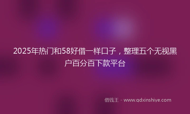2025年热门和58好借一样口子，整理五个无视黑户百分百下款平台