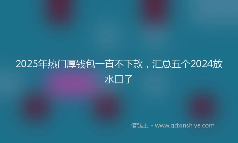 2025年热门厚钱包一直不下款，汇总五个2024放水口子