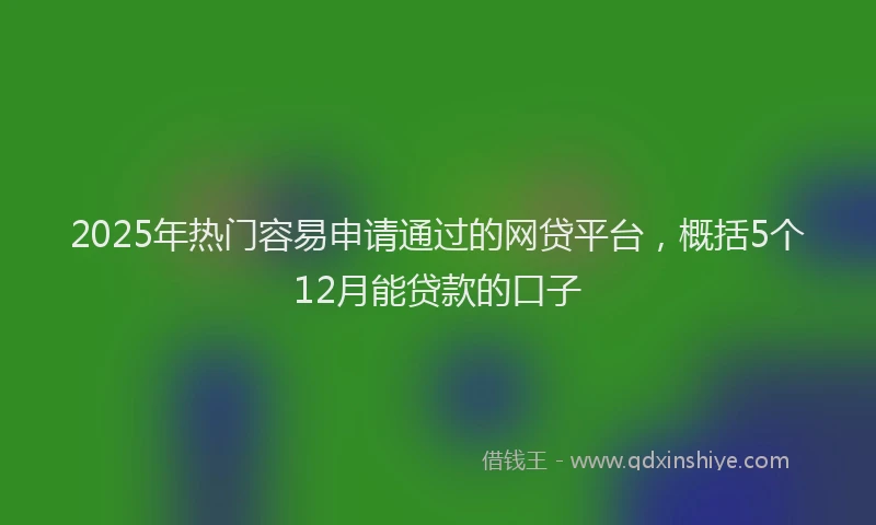 2025年热门容易申请通过的网贷平台，概括5个12月能贷款的口子