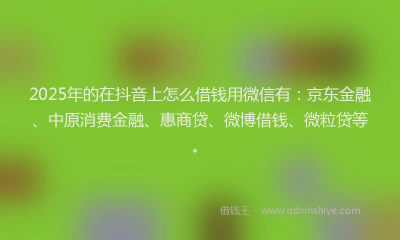 2025年的在抖音上怎么借钱用微信有：京东金融、中原消费金融、惠商贷、微博借钱、微粒贷等。