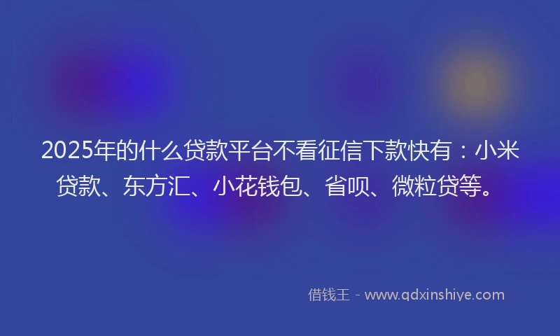 2025年的什么贷款平台不看征信下款快有：小米贷款、东方汇、小花钱包、省呗、微粒贷等。