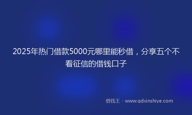 2025年热门借款5000元哪里能秒借，分享五个不看征信的借钱口子