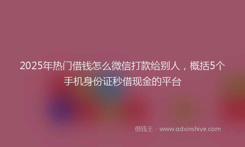 2025年热门借钱怎么微信打款给别人，概括5个手机身份证秒借现金的平台