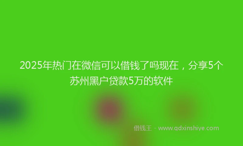 2025年热门在微信可以借钱了吗现在，分享5个苏州黑户贷款5万的软件