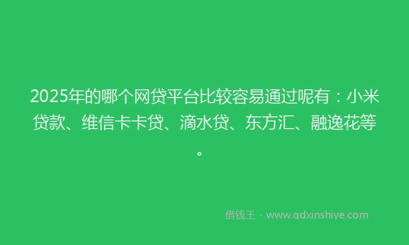2025年的哪个网贷平台比较容易通过呢有：小米贷款、维信卡卡贷、滴水贷、东方汇、融逸花等。