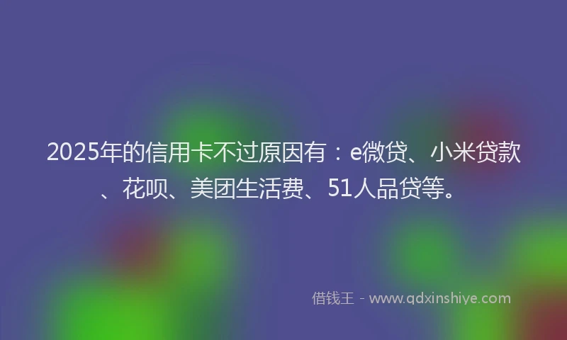 2025年的信用卡不过原因有：e微贷、小米贷款、花呗、美团生活费、51人品贷等。