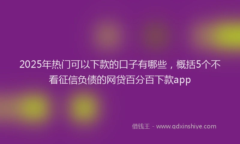 2025年热门可以下款的口子有哪些，概括5个不看征信负债的网贷百分百下款app