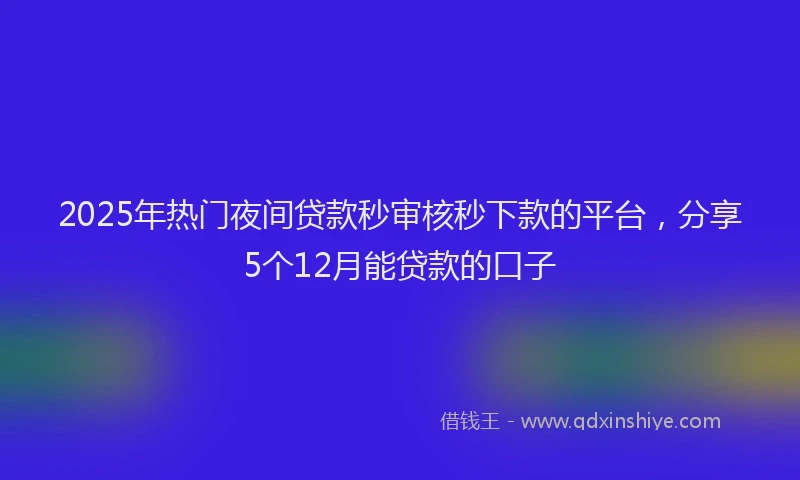 2025年热门夜间贷款秒审核秒下款的平台，分享5个12月能贷款的口子