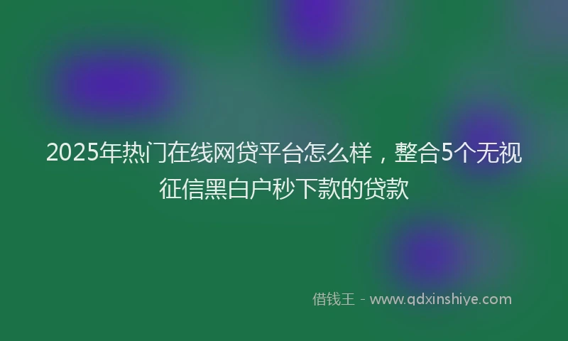 2025年热门在线网贷平台怎么样，整合5个无视征信黑白户秒下款的贷款