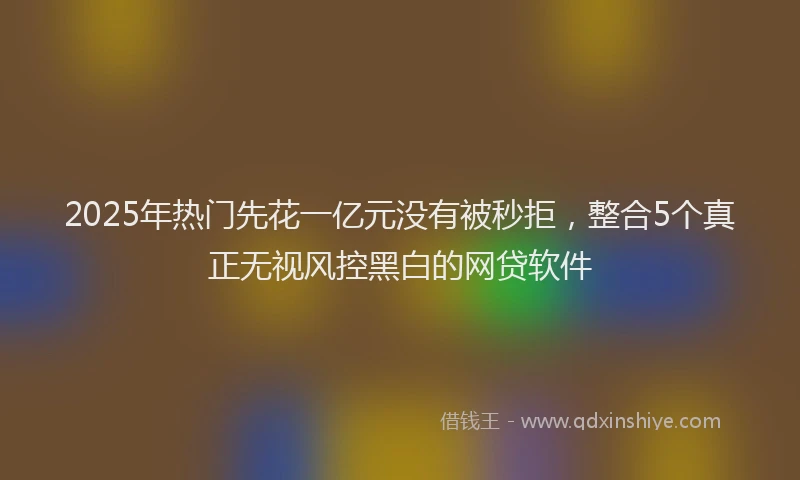 2025年热门先花一亿元没有被秒拒，整合5个真正无视风控黑白的网贷软件