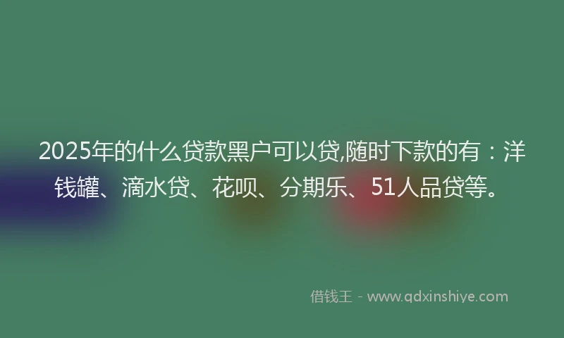 2025年的什么贷款黑户可以贷,随时下款的有：洋钱罐、滴水贷、花呗、分期乐、51人品贷等。