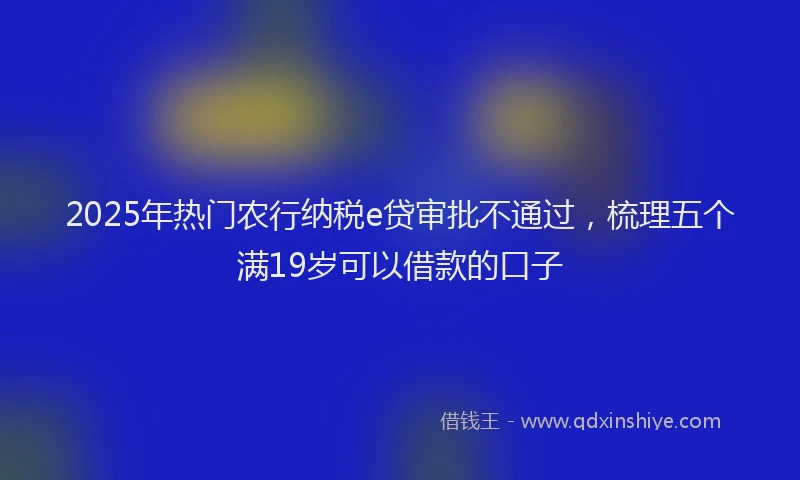 2025年热门农行纳税e贷审批不通过，梳理五个满19岁可以借款的口子