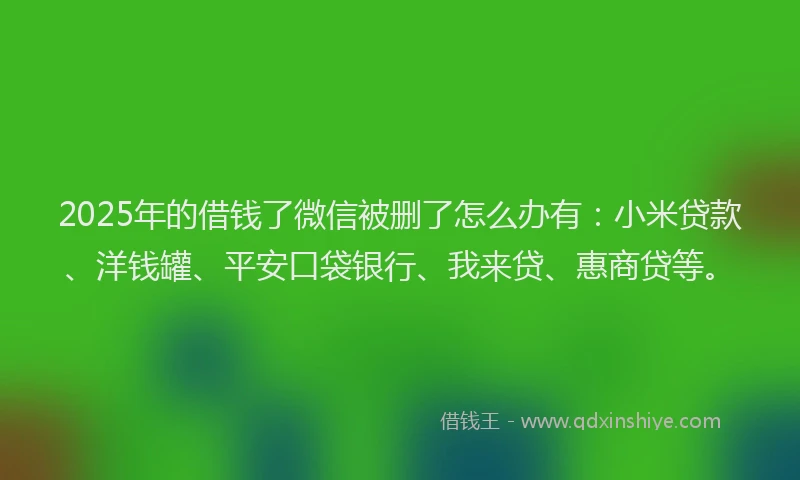 2025年的借钱了微信被删了怎么办有：小米贷款、洋钱罐、平安口袋银行、我来贷、惠商贷等。