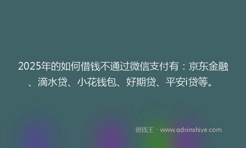 2025年的如何借钱不通过微信支付有：京东金融、滴水贷、小花钱包、好期贷、平安i贷等。