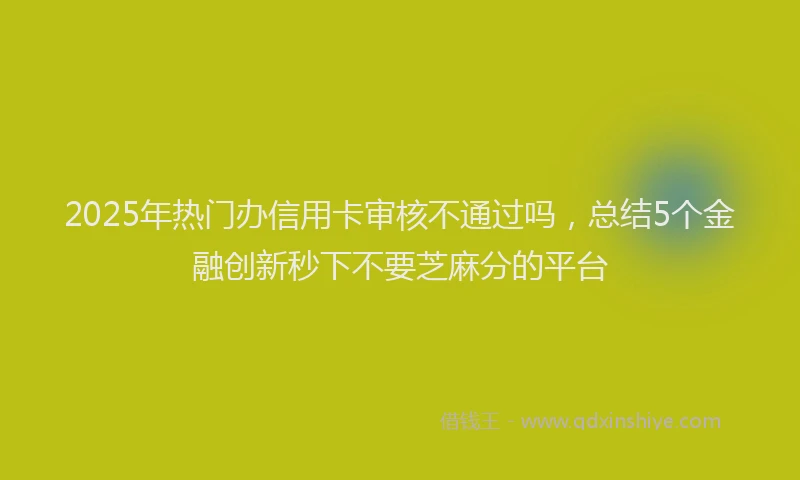 2025年热门办信用卡审核不通过吗，总结5个金融创新秒下不要芝麻分的平台