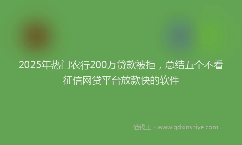 2025年热门农行200万贷款被拒，总结五个不看征信网贷平台放款快的软件