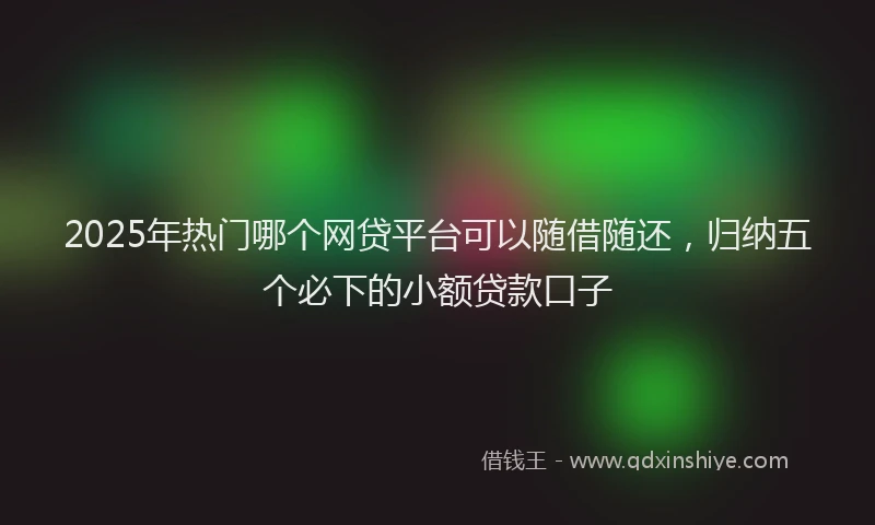 2025年热门哪个网贷平台可以随借随还，归纳五个必下的小额贷款口子