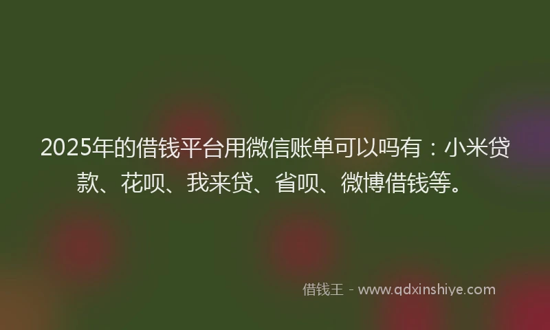 2025年的借钱平台用微信账单可以吗有：小米贷款、花呗、我来贷、省呗、微博借钱等。