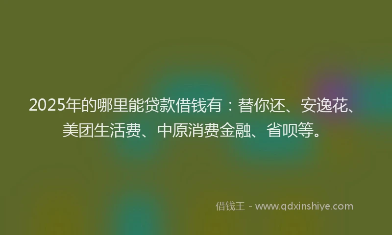 2025年的哪里能贷款借钱有：替你还、安逸花、美团生活费、中原消费金融、省呗等。