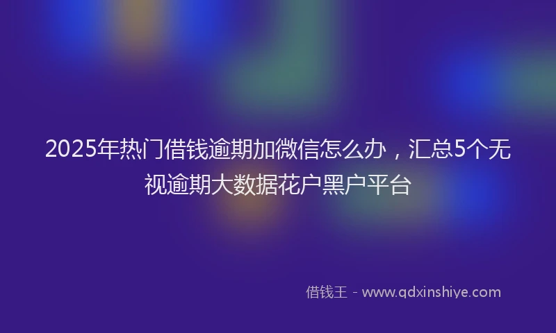 2025年热门借钱逾期加微信怎么办，汇总5个无视逾期大数据花户黑户平台