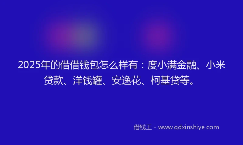 2025年的借借钱包怎么样有：度小满金融、小米贷款、洋钱罐、安逸花、柯基贷等。