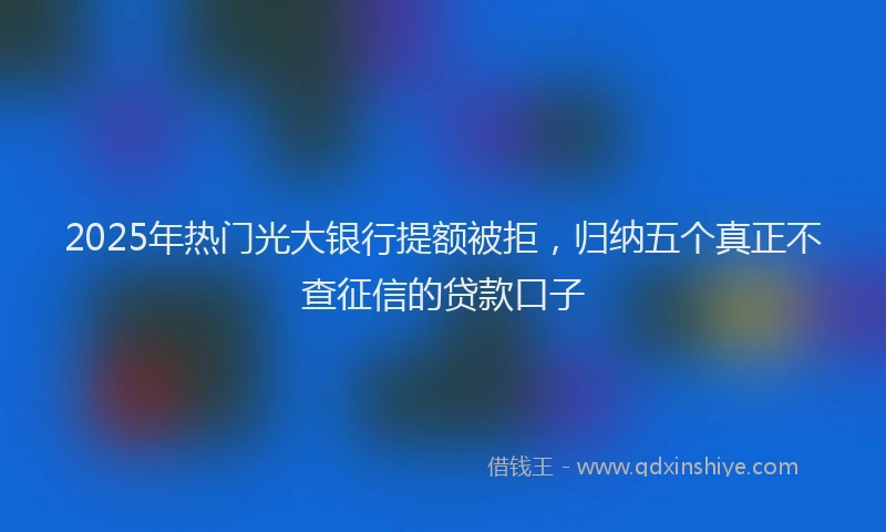 2025年热门光大银行提额被拒，归纳五个真正不查征信的贷款口子