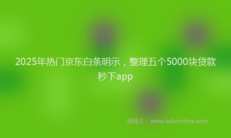 2025年热门京东白条明示，整理五个5000块贷款秒下app