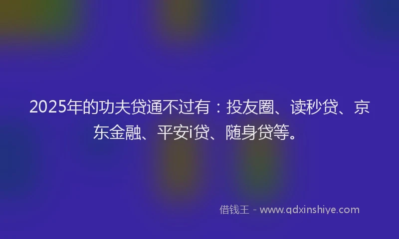 2025年的功夫贷通不过有：投友圈、读秒贷、京东金融、平安i贷、随身贷等。