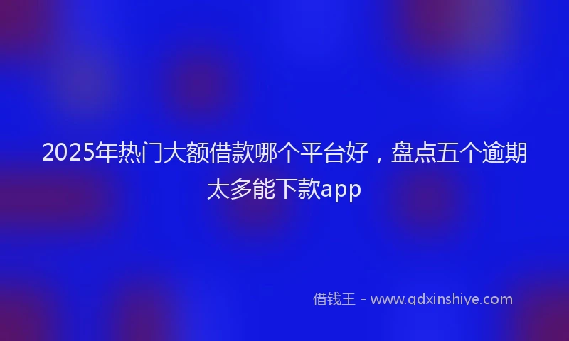 2025年热门大额借款哪个平台好，盘点五个逾期太多能下款app