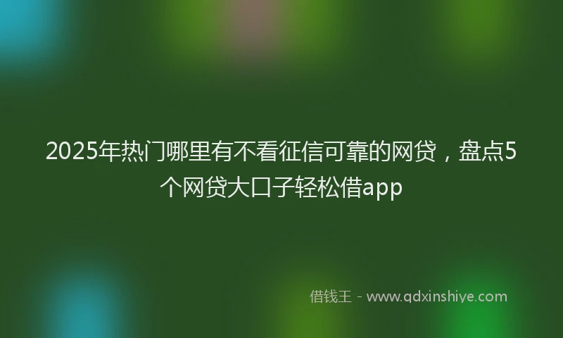 2025年热门哪里有不看征信可靠的网贷，盘点5个网贷大口子轻松借app