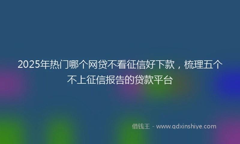 2025年热门哪个网贷不看征信好下款，梳理五个不上征信报告的贷款平台