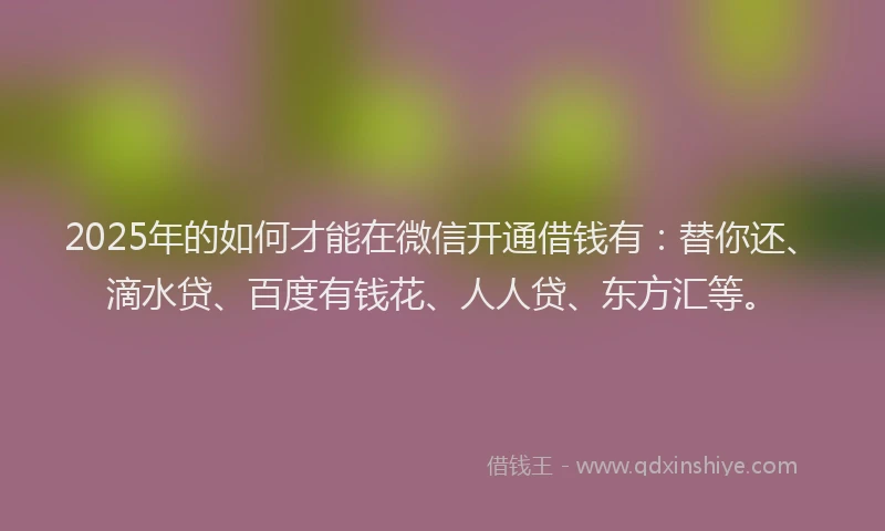 2025年的如何才能在微信开通借钱有：替你还、滴水贷、百度有钱花、人人贷、东方汇等。