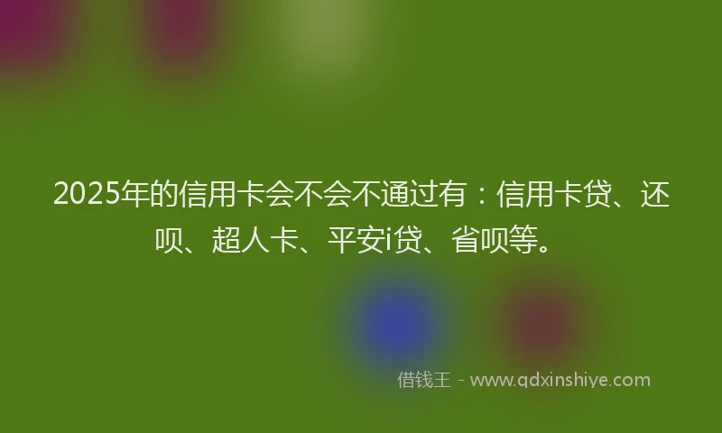 2025年的信用卡会不会不通过有：信用卡贷、还呗、超人卡、平安i贷、省呗等。