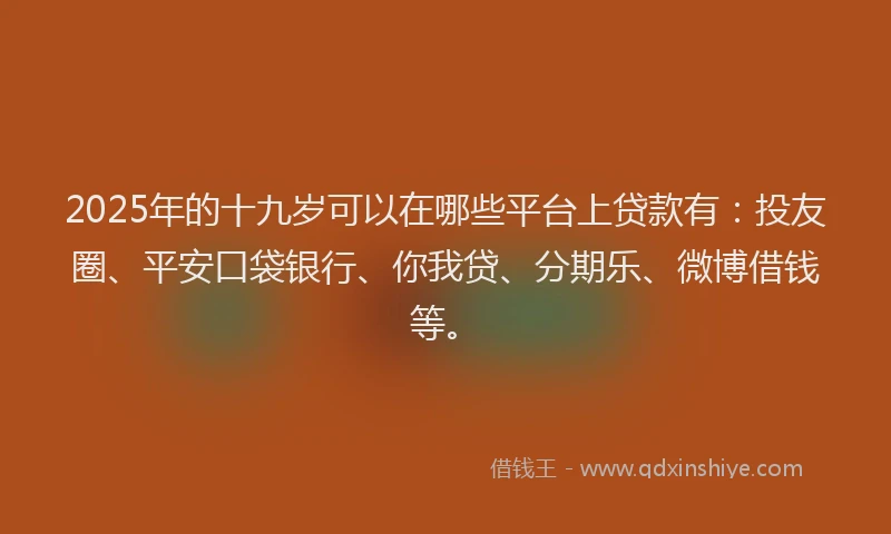 2025年的十九岁可以在哪些平台上贷款有：投友圈、平安口袋银行、你我贷、分期乐、微博借钱等。