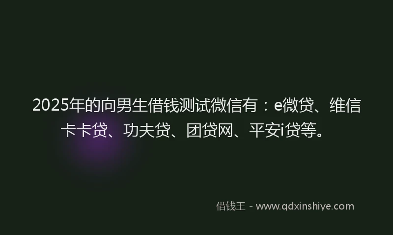 2025年的向男生借钱测试微信有：e微贷、维信卡卡贷、功夫贷、团贷网、平安i贷等。