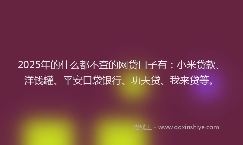 2025年的什么都不查的网贷口子有：小米贷款、洋钱罐、平安口袋银行、功夫贷、我来贷等。