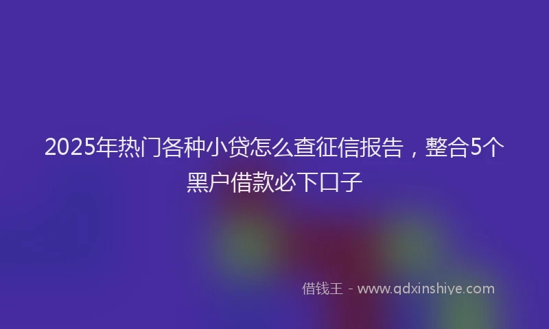 2025年热门各种小贷怎么查征信报告，整合5个黑户借款必下口子