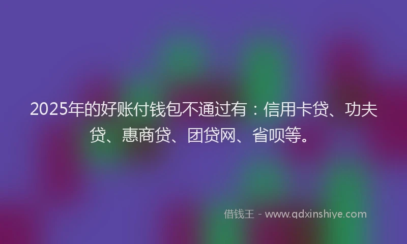 2025年的好账付钱包不通过有：信用卡贷、功夫贷、惠商贷、团贷网、省呗等。