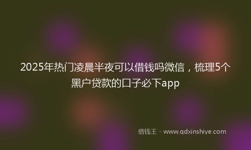 2025年热门凌晨半夜可以借钱吗微信，梳理5个黑户贷款的口子必下app