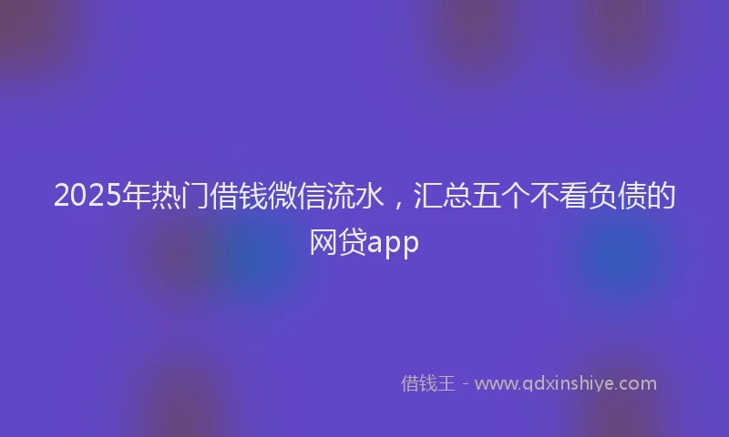 2025年热门借钱微信流水，汇总五个不看负债的网贷app