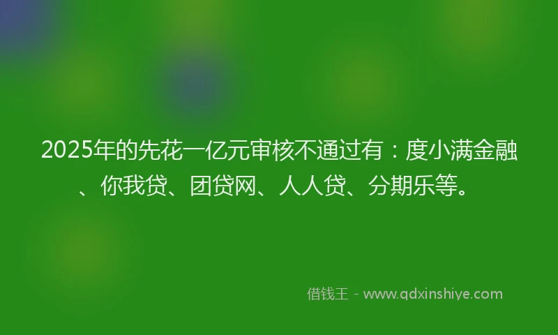 2025年的先花一亿元审核不通过有：度小满金融、你我贷、团贷网、人人贷、分期乐等。