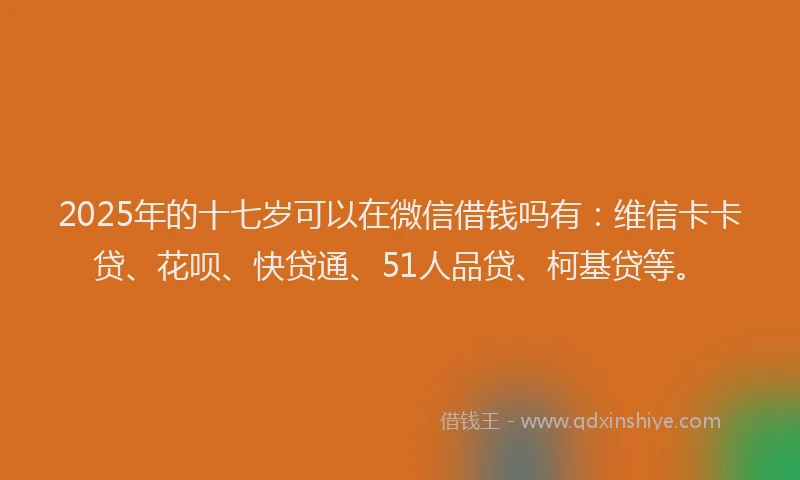 2025年的十七岁可以在微信借钱吗有：维信卡卡贷、花呗、快贷通、51人品贷、柯基贷等。