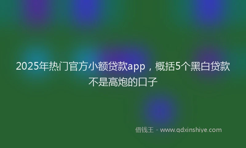 2025年热门官方小额贷款app，概括5个黑白贷款不是高炮的口子